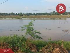 ขายที่ดิน เนื้อที่ 4 ไร่ ฆะมัง พิจิตร