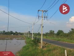 ขายที่ดิน เนื้อที่ 4 ไร่ ฆะมัง พิจิตร-202505201224281747718668007.jpg