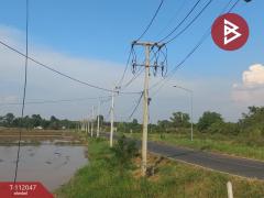 ขายที่ดิน เนื้อที่ 4 ไร่ ฆะมัง พิจิตร-202505201224281747718668622.jpg