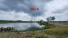 ขายที่ดินพร้อมสิ่งปลูกสร้างบ้านชั้นเดียว ขนาด 94-2-90 ไร่ (37,890 ตร.ว.) โครงการคีรีทอง ต.ธงชัย อ.เมืองเพชรบุรี จ.เพชรบุรี ติดถนนเลียบคลอง-202505201512001747728720464.jpg