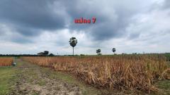 ขายที่ดินพร้อมสิ่งปลูกสร้างบ้านชั้นเดียว ขนาด 94-2-90 ไร่ (37,890 ตร.ว.) โครงการคีรีทอง ต.ธงชัย อ.เมืองเพชรบุรี จ.เพชรบุรี ติดถนนเลียบคลอง-202505201512011747728721034.jpg