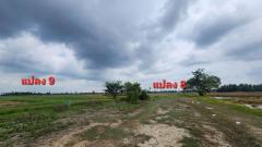 ขายที่ดินพร้อมสิ่งปลูกสร้างบ้านชั้นเดียว ขนาด 94-2-90 ไร่ (37,890 ตร.ว.) โครงการคีรีทอง ต.ธงชัย อ.เมืองเพชรบุรี จ.เพชรบุรี ติดถนนเลียบคลอง-202505201512011747728721925.jpg