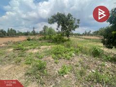 ขายที่ดิน เนื้อที่ 2 ไร่ 3 งาน 81.2 ตร.วา เสนางคนิคม อำนาจเจริญ-202505201546331747730793385.jpg