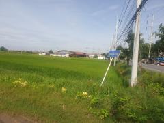 ขายที่ดิน 29 ไร่ 1 งาน 32 ตร.ว. พุทธมณฑล จ.นครปฐม