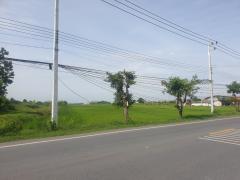 ขายที่ดิน 29 ไร่ 1 งาน 32 ตร.ว. พุทธมณฑล จ.นครปฐม-202505201601391747731699900.jpg