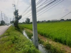 ขายที่ดิน 29 ไร่ 1 งาน 32 ตร.ว. พุทธมณฑล จ.นครปฐม-202505201601401747731700531.jpg