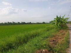 ขายที่ดิน 29 ไร่ 1 งาน 32 ตร.ว. พุทธมณฑล จ.นครปฐม-202505201601411747731701796.jpg