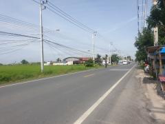 ขายที่ดิน 29 ไร่ 1 งาน 32 ตร.ว. พุทธมณฑล จ.นครปฐม-202505201601431747731703400.jpg