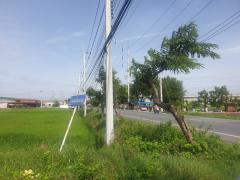 ขายที่ดิน 29 ไร่ 1 งาน 32 ตร.ว. พุทธมณฑล จ.นครปฐม-202505201601451747731705272.jpg