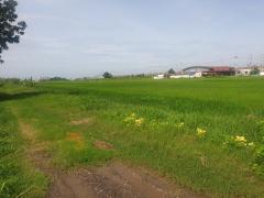 ขายที่ดิน 29 ไร่ 1 งาน 32 ตร.ว. พุทธมณฑล จ.นครปฐม-202505201601461747731706615.jpg