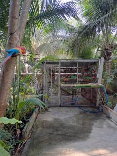 ขายบ้านเดี่ยว 1 ชั้น หมู่บ้านหนองสรวง อ.ศรีประจันต์ สุพรรณบุรี ใกล้โรงเรียน โรงพยาบาล ตลาด โทร 0869220218-202505201604051747731845413.jpg
