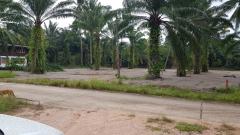 ขายที่ดินใกล้ทะเล แหล่งท่องเที่ยว อ.ขนอม จ.นครศรีธรรมราช-202505201846301747741590224.jpg