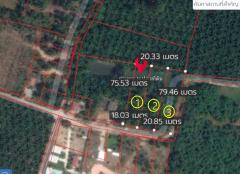 ขายที่ดินใกล้ทะเล แหล่งท่องเที่ยว อ.ขนอม จ.นครศรีธรรมราช-202505201846331747741593945.jpg