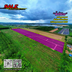 ขายที่ดินเขตอุตสาหกรรม สีม่วงลายจุด ใกล้นิคม WHA36 เพียง 800 เมตร