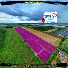 ขายที่ดินเขตอุตสาหกรรม สีม่วงลายจุด ใกล้นิคม WHA36 เพียง 800 เมตร-202505211328541747808934853.png
