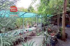 ที่ดินเปล่า ซอยนิมิตใหม่ 11 เนื้อที่ 100 ตรว. ถนนนิมิตใหม่ แขวงทรายกองดิน เขตคลองสามวา กรุงเทพมหานคร-202505211354351747810475745.jpg