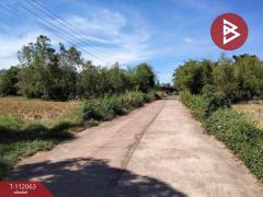 ขายที่ดิน เนื้อที่ 6 ไร่ 69.2 ตร.วา ประจันตคาม ปราจีนบุรี-202505211408221747811302886.jpg