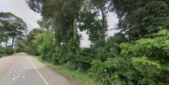 P12LA2505001 ขายที่ดิน ติดถนนสุขุมวิท จันทบุรี 810 ไร่