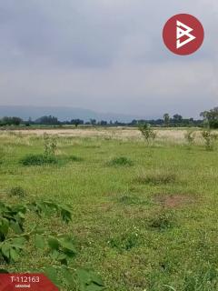  ขายที่ดิน เนื้อที่ 2 ไร่ โคกสำโรง ลพบุรี-202505211456501747814210945.jpg