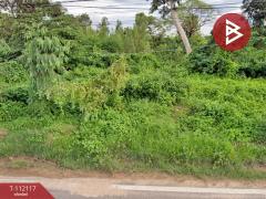 ขายที่ดิน เนื้อที่ 1 งาน 65.4 ตร.วา ปทุม อุบลราชธานี-202505211507311747814851675.jpg