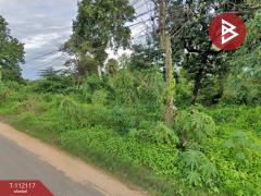 ขายที่ดิน เนื้อที่ 1 งาน 65.4 ตร.วา ปทุม อุบลราชธานี-202505211507321747814852872.jpg