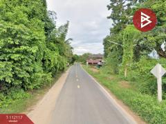 ขายที่ดิน เนื้อที่ 1 งาน 65.4 ตร.วา ปทุม อุบลราชธานี-202505211507351747814855567.jpg