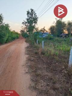 ขายที่ดิน เนื้อที่ 3 ไร่ 46.6 ตร.วา บุ่ง อำนาจเจริญ-202505211526141747815974199.jpg