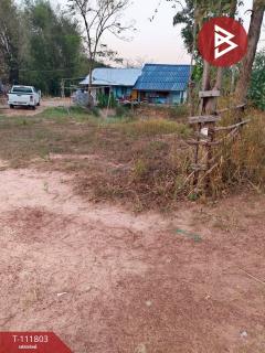 ขายที่ดิน เนื้อที่ 3 ไร่ 46.6 ตร.วา บุ่ง อำนาจเจริญ-202505211526151747815975700.jpg