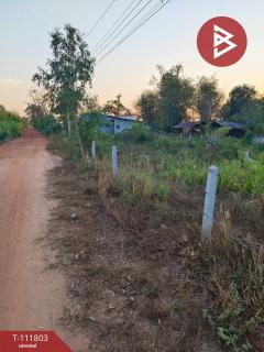 ขายที่ดิน เนื้อที่ 3 ไร่ 46.6 ตร.วา บุ่ง อำนาจเจริญ-202505211526161747815976327.jpg