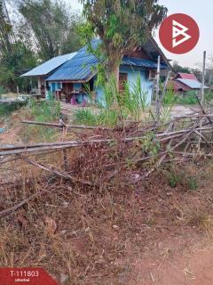 ขายที่ดิน เนื้อที่ 3 ไร่ 46.6 ตร.วา บุ่ง อำนาจเจริญ-202505211526161747815976962.jpg