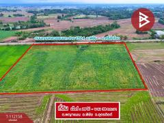 ขายที่ดิน เนื้อที่ 26 ไร่ 38 ตร.วา พิชัย อุตรดิตถ์-202505211611321747818692977.jpg