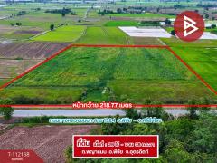 ขายที่ดิน เนื้อที่ 26 ไร่ 38 ตร.วา พิชัย อุตรดิตถ์-202505211611361747818696905.jpg
