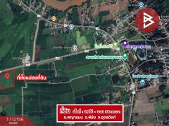 ขายที่ดิน เนื้อที่ 26 ไร่ 38 ตร.วา พิชัย อุตรดิตถ์-202505211611371747818697550.jpg