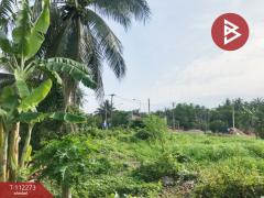ขายที่ดิน เนื้อที่ 1 งาน 65 ตร.วา บางคนที สมุทรสงคราม-202505221426121747898772525.jpg