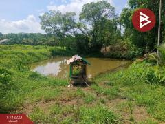 ขายที่ดิน เนื้อที่ 3 ไร่ 1 งาน 42 ตร.วา บ่อไร่ ตราด-202505221447081747900028920.jpg