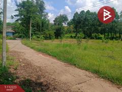 ขายที่ดิน เนื้อที่ 3 ไร่ 1 งาน 42 ตร.วา บ่อไร่ ตราด-202505221447101747900030846.jpg