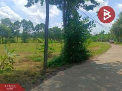 ขายที่ดิน เนื้อที่ 3 ไร่ 1 งาน 42 ตร.วา บ่อไร่ ตราด-202505221447121747900032212.jpg