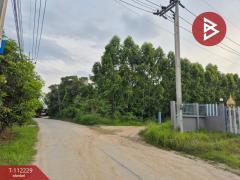 ขายบ้านเดี่ยว เนื้อที่ 3 งาน 50 ตร.วา บ้านบึง ชลบุรี-202505221450011747900201093.jpg