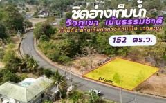 ขายที่ดิน 152 ตร.ว. บ้านเนินน้ำ ถนนสายนาวัง ซอย 12 ใกล้ทางหลวงสายชลบุรี-พัทยา-202505221703261747908206130.jpg