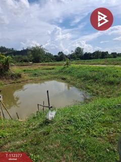 ขายที่ดิน เนื้อที่ 3 ไร่ เทิง เชียงราย-202505231430591747985459060.jpg