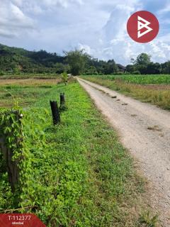 ขายที่ดิน เนื้อที่ 3 ไร่ เทิง เชียงราย-202505231430591747985459682.jpg