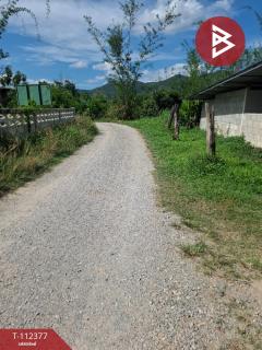 ขายที่ดิน เนื้อที่ 3 ไร่ เทิง เชียงราย-202505231431001747985460307.jpg
