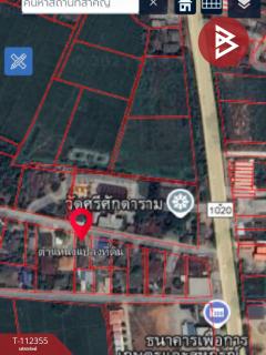 ขายบ้านเดี่ยว เนื้อที่ 1 งาน 47.2 ตร.วา ห้วยสัก เชียงราย-202505231616521747991812050.jpg