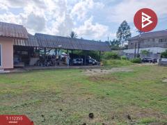 ขายบ้านเดี่ยว เนื้อที่ 1 งาน 47.2 ตร.วา ห้วยสัก เชียงราย-202505231616571747991817678.jpg