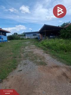 ขายบ้านเดี่ยว เนื้อที่ 1 งาน 47.2 ตร.วา ห้วยสัก เชียงราย-202505231616581747991818320.jpg