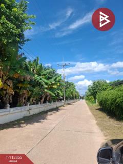 ขายบ้านเดี่ยว เนื้อที่ 1 งาน 47.2 ตร.วา ห้วยสัก เชียงราย-202505231617001747991820872.jpg