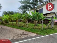 ขายที่ดิน เนื้อที่ 79 ตร.วา ขลุง จันทบุรี-202505231704411747994681685.jpg