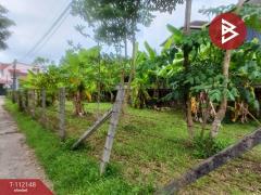 ขายที่ดิน เนื้อที่ 79 ตร.วา ขลุง จันทบุรี-202505231704421747994682374.jpg