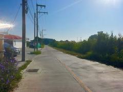 ขายที่ดินพานทองชลบุรี 4-1-35 ไร่  พื้นที่สีเหลือง 4-1-35 ไร่ (แบ่งได้ 2 ไร่)