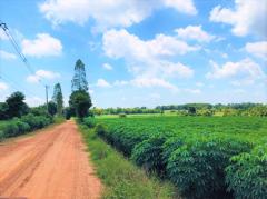 ขายที่ดิน ติดถนนมิตรภาพ 75 ไร่ ผังสีม่วง ฝั่งขาเข้ากรุงเทพฯ อ.น้ำพอง จ.ขอนแก่น เหมาะทำโรงงาน คลังสินค้า ใกล้ท่าเรือบก dry port-202505231850411748001041017.jpg